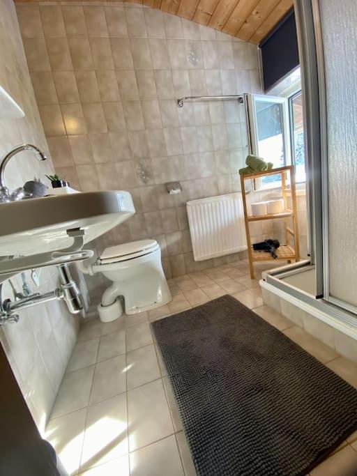 Alpenchalet Basecamp Apartment 2 Санкт-Мартин-ам-Тенненгебирге Экстерьер фото